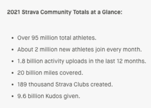 Strava Year in Review