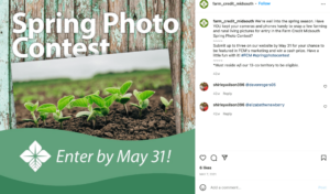 Spring Photo Contest