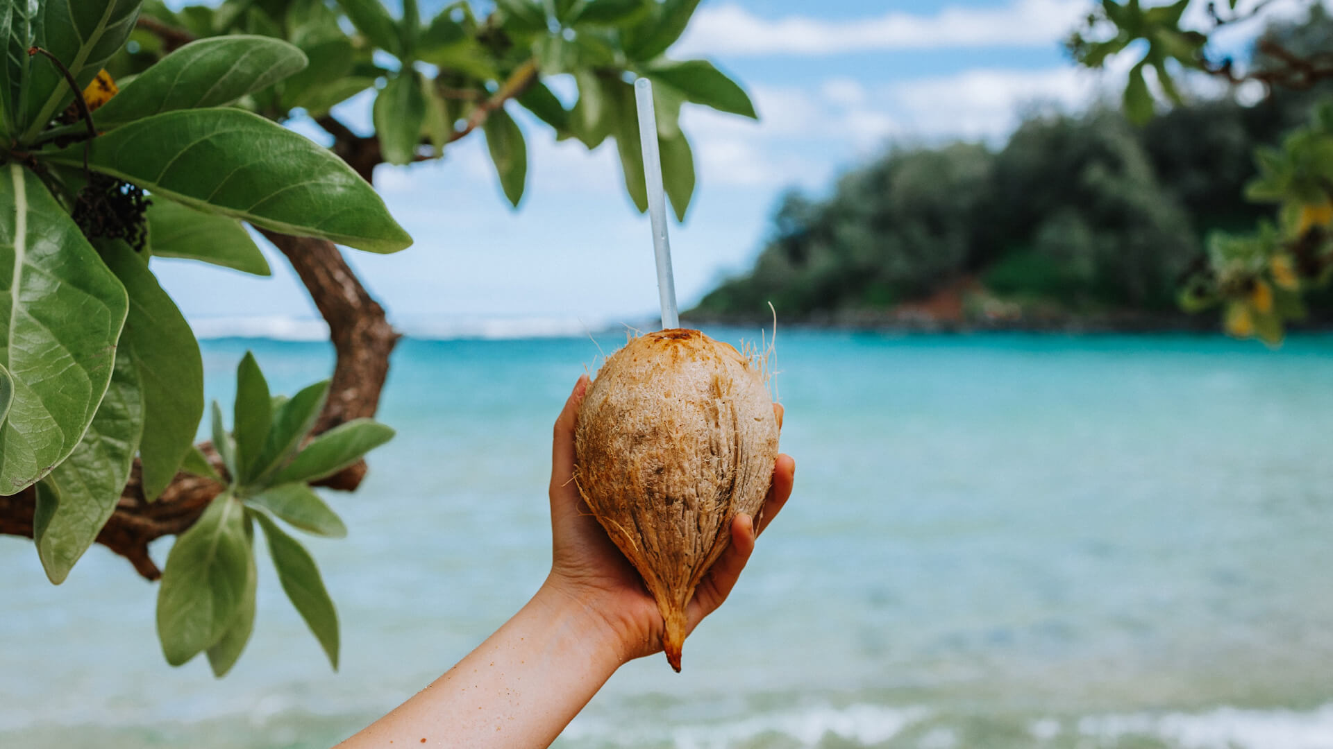 A hand holds a coconut with a straw in front of the ocean and tropical trees and plants